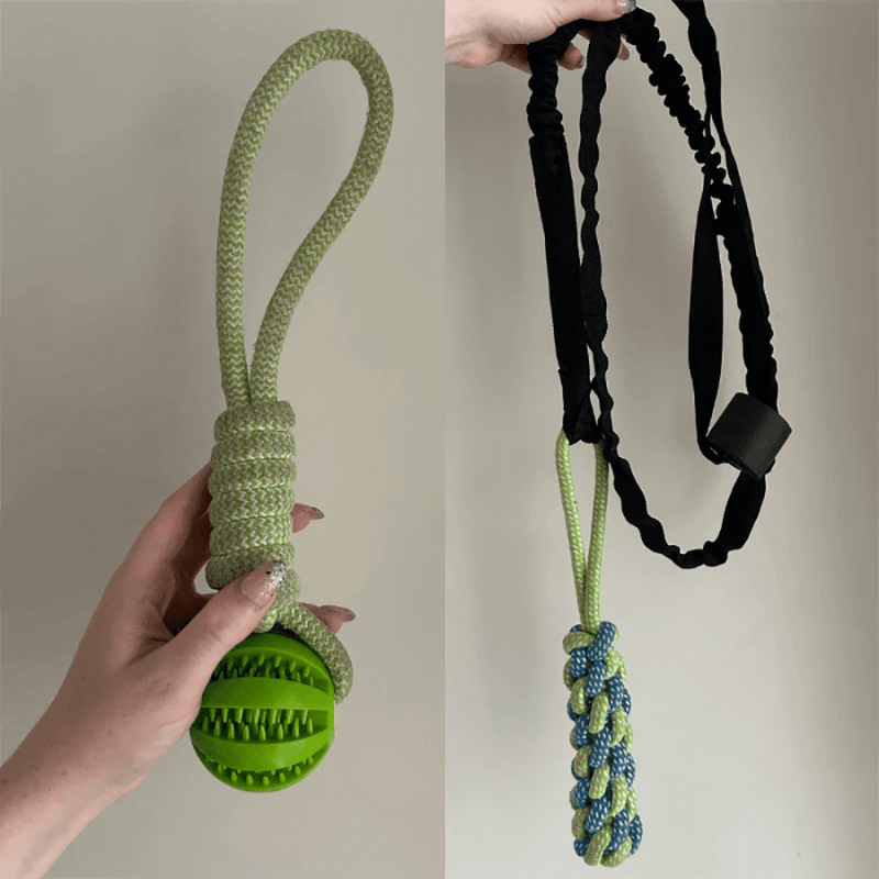 Gioco Elastico MordiMolla - Gioco da tiro Indistruttibile 🐾💥
