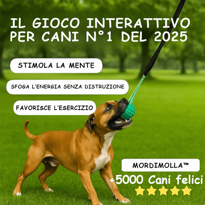 Gioco Elastico MordiMolla - Gioco da tiro Indistruttibile 🐾💥