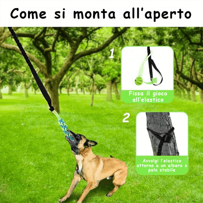 Gioco Elastico MordiMolla - Gioco da tiro Indistruttibile 🐾💥
