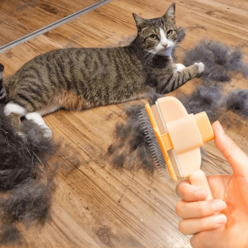Spazzola Fulmine per il Pelo⚡🐾
