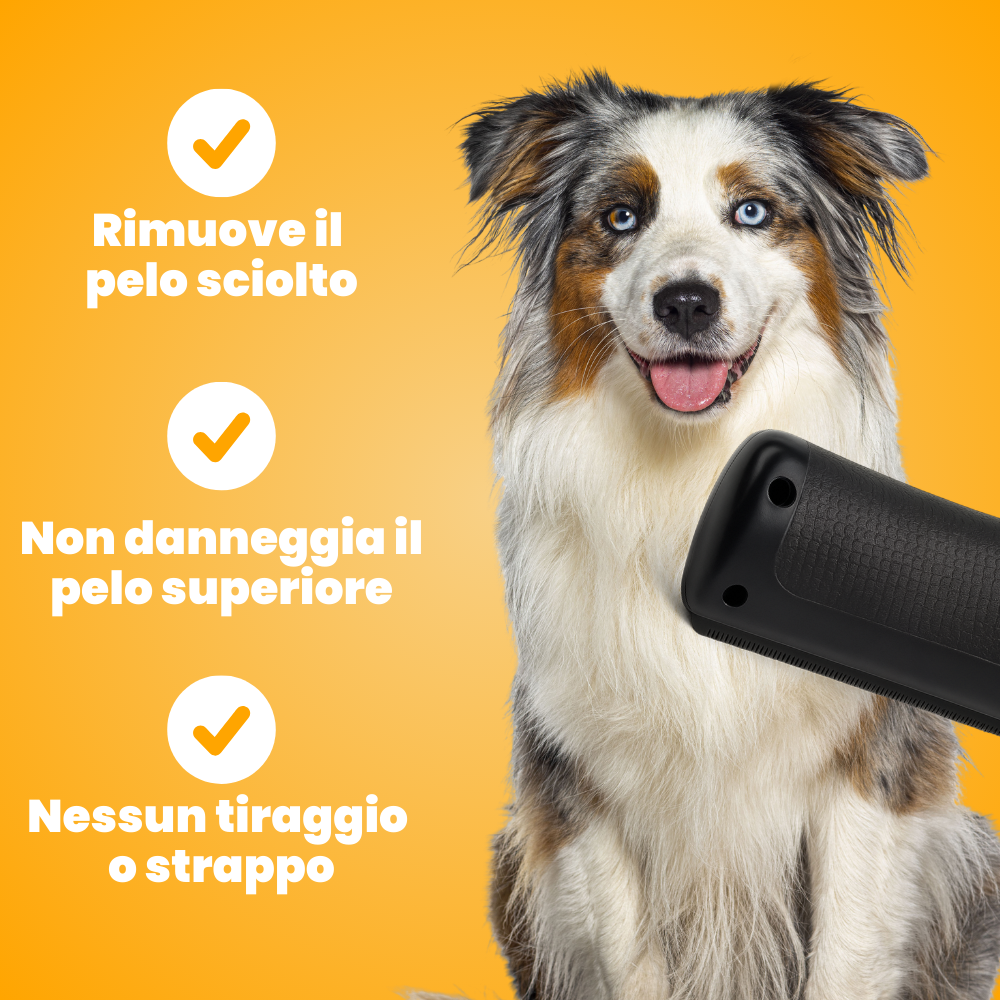 PeloPerfetto™ – La Spazzola Magica 🐾
