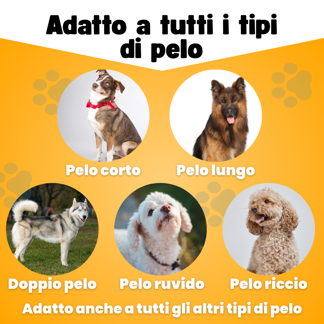 PeloPerfetto™ – La Spazzola Magica 🐾