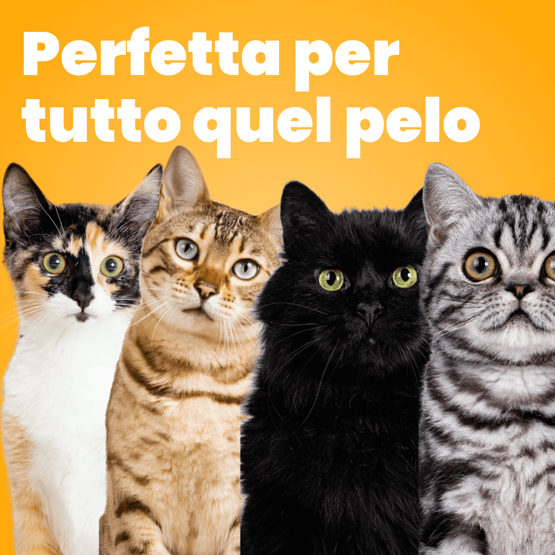 Spazzola Fulmine per il Pelo⚡🐾