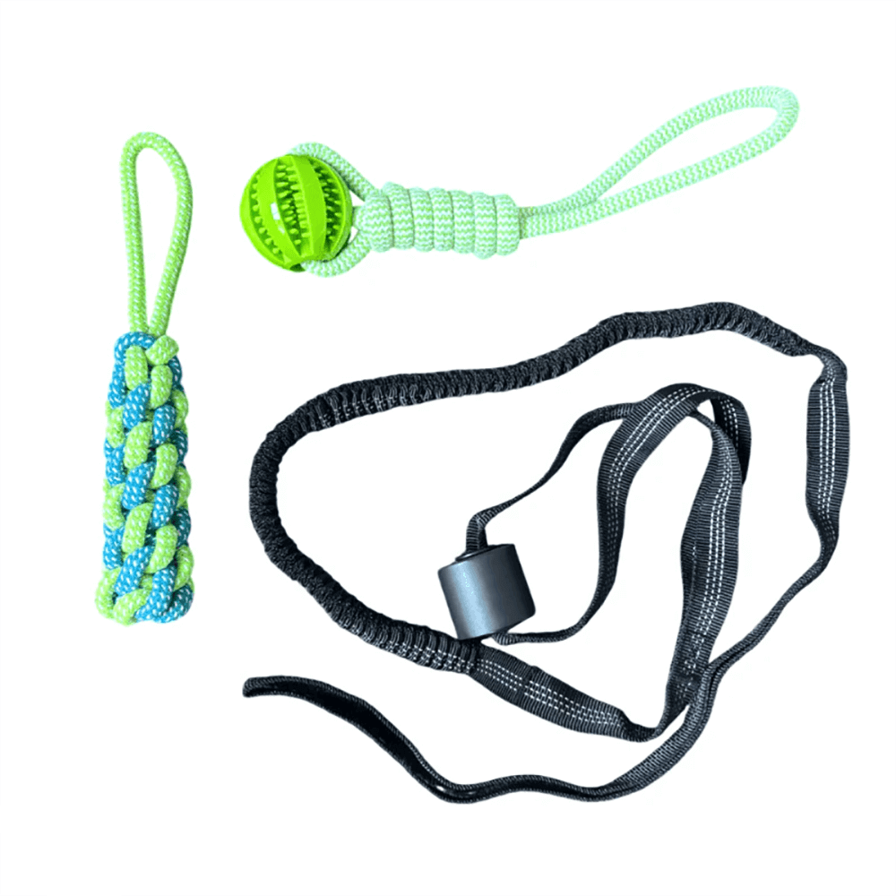 Gioco Elastico MordiMolla - Gioco da tiro Indistruttibile 🐾💥