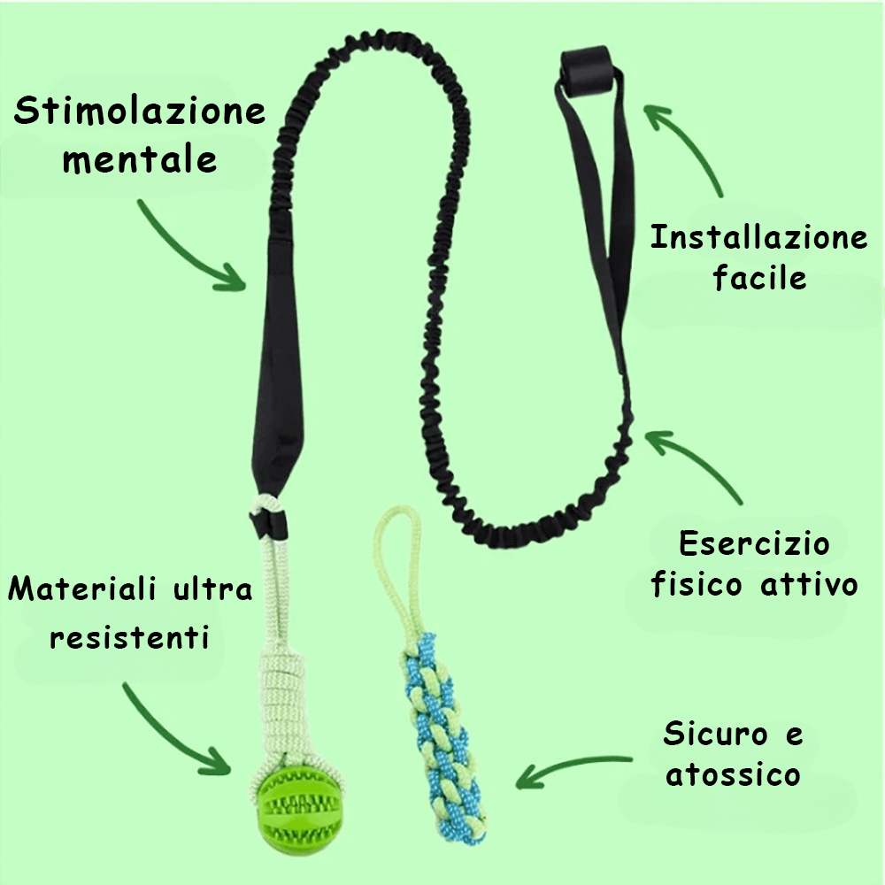 Gioco Elastico MordiMolla - Gioco da tiro Indistruttibile 🐾💥