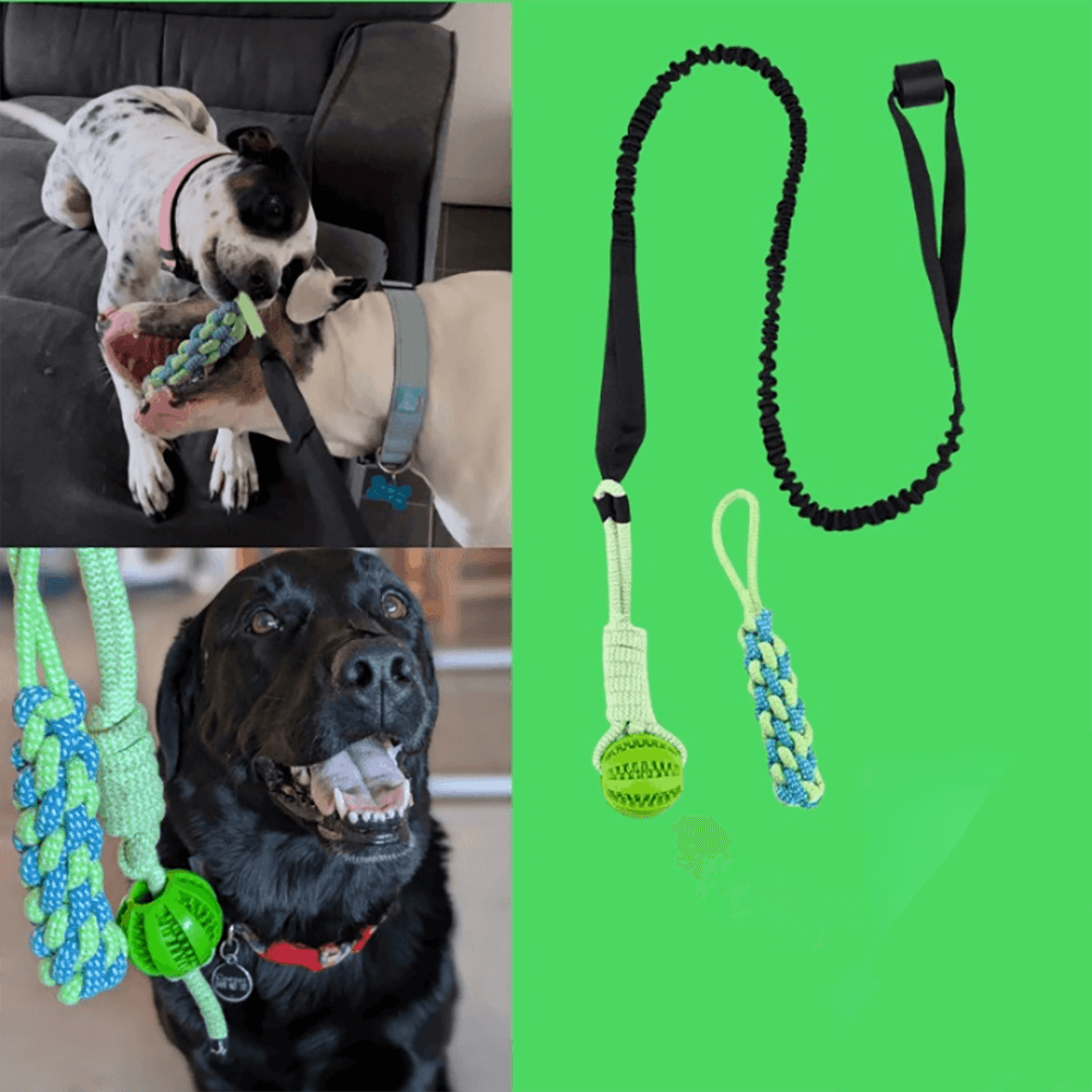 Gioco Elastico MordiMolla - Gioco da tiro Indistruttibile 🐾💥