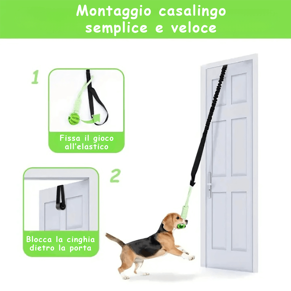 Gioco Elastico MordiMolla - Gioco da tiro Indistruttibile 🐾💥