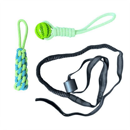 Gioco Elastico MordiMolla - Gioco da tiro Indistruttibile 🐾💥