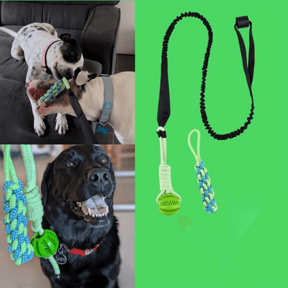 Gioco Elastico MordiMolla - Gioco da tiro Indistruttibile 🐾💥