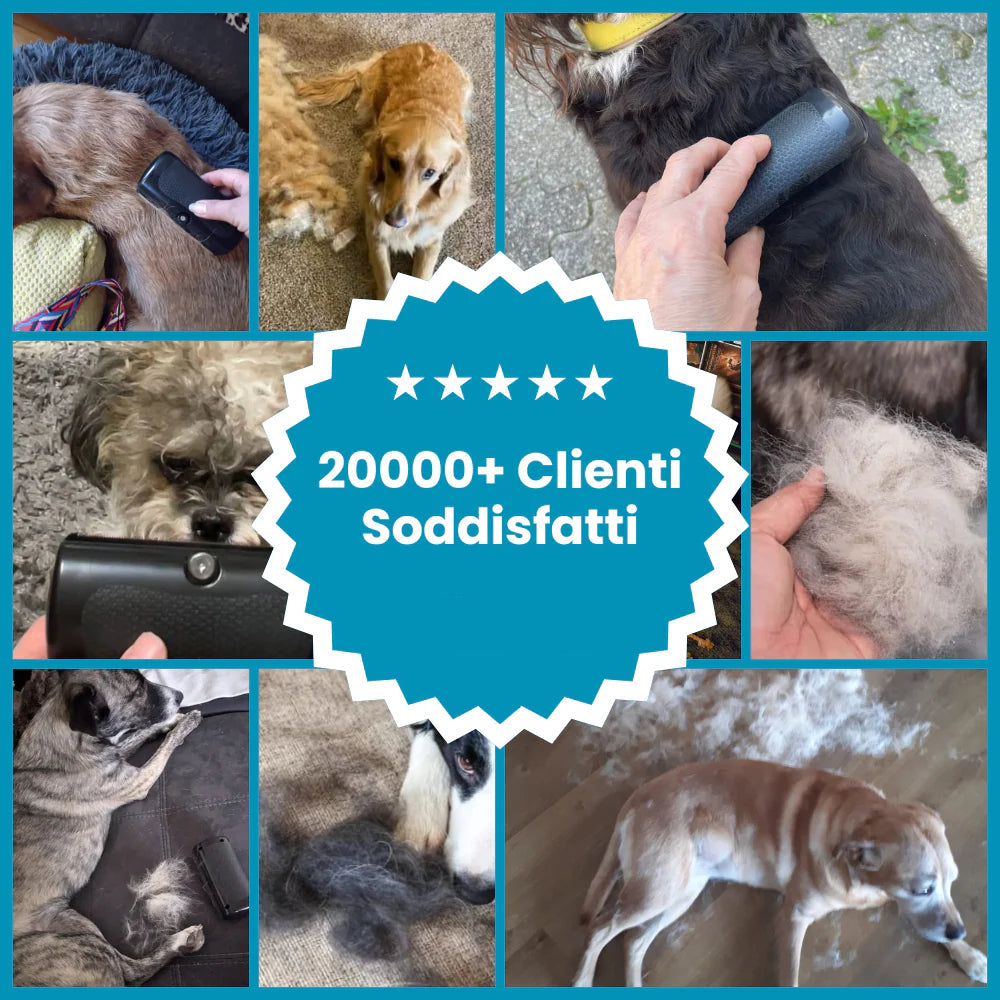 PeloPerfetto™ – La Spazzola Magica  🐾