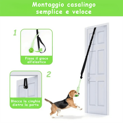 Gioco Elastico MordiMolla - Gioco da tiro Indistruttibile 🐾💥